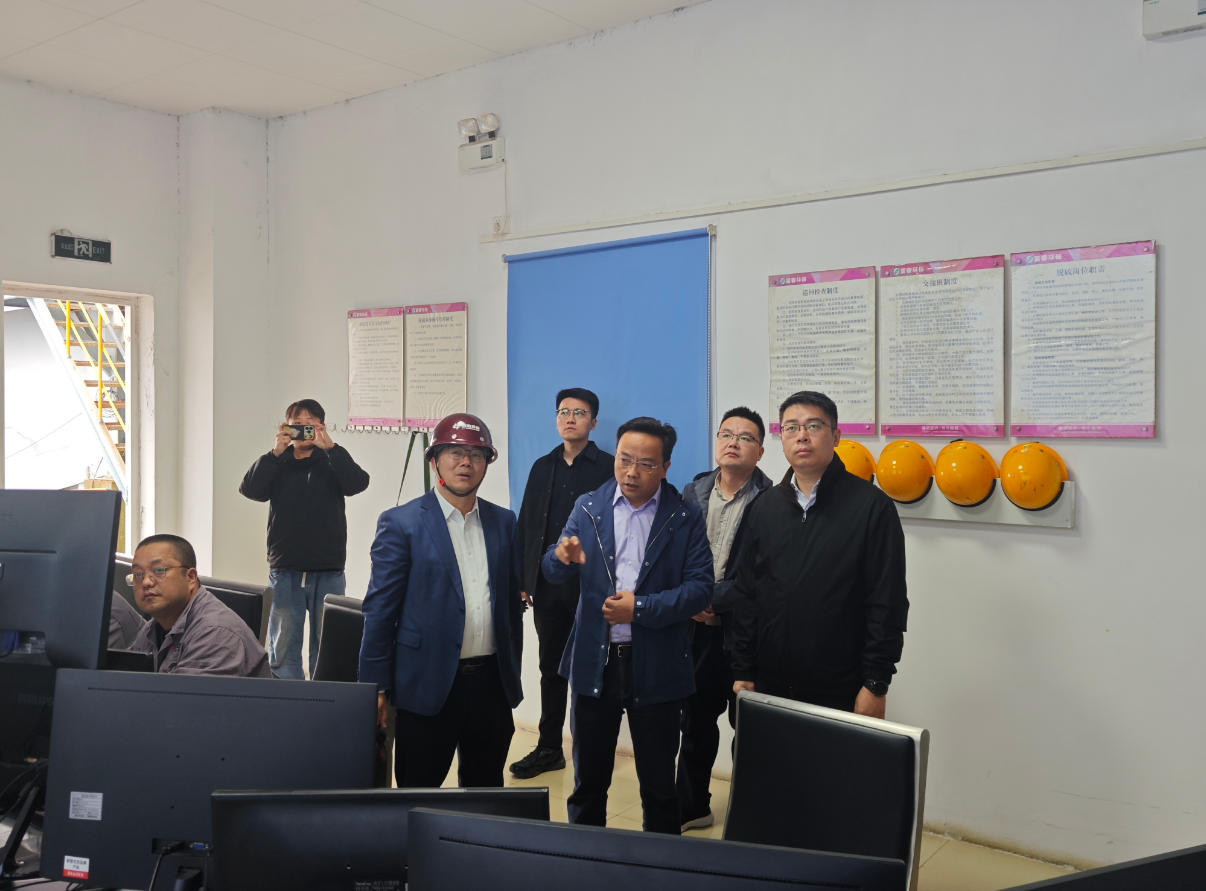 溧阳市副市长庄铠光临江苏热电督查领导